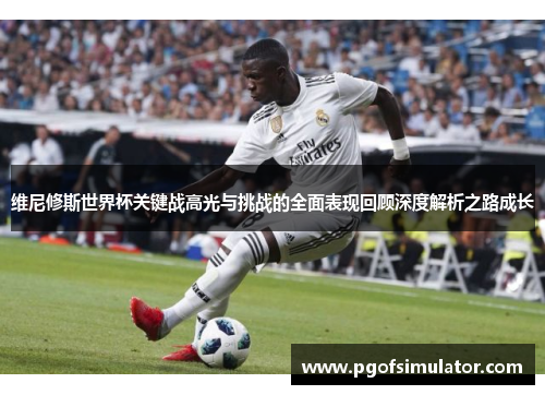 维尼修斯世界杯关键战高光与挑战的全面表现回顾深度解析之路成长 维尼修斯世界杯关键战高光与挑战的全面表现回顾深度解析之路成长
